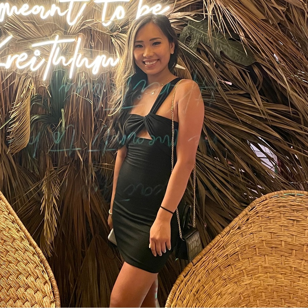 Windsor Black Mini Dress